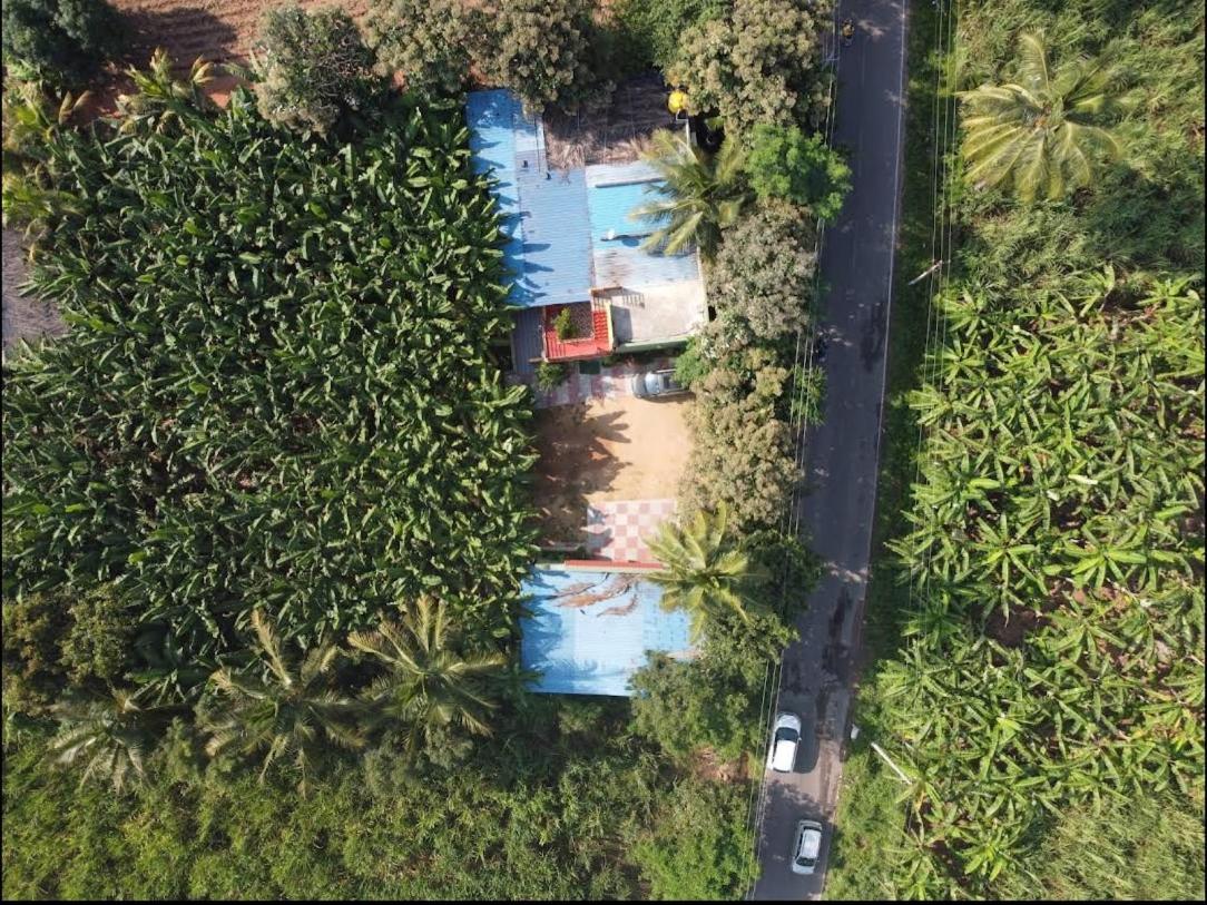 Banana Farm House Hampi Exterior foto